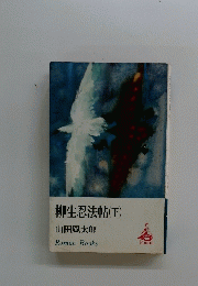 柳生忍法帖(下)　