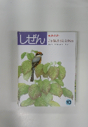 しぜん10　いっぽんのきととりたち　キンダーブック3