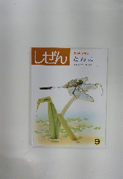 しぜん　とんぼ　9