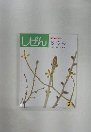 しぜん　きのめ　3