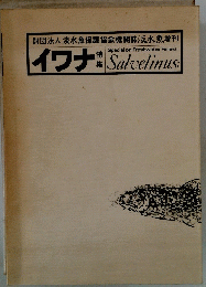 イワナ　Salelimus