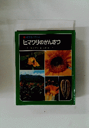 ヒマワリのかんさつ