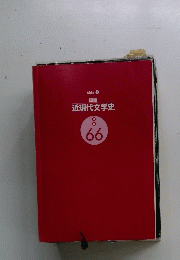 近現代文学史 66
