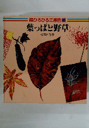 続ひろびろ三原色6　葉っぱと野草