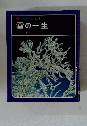 科学アルバム30   しょうにゅうどう探検