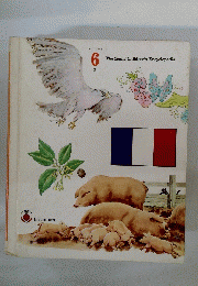 The Young Children's Encyclopedia　VOLUME 6