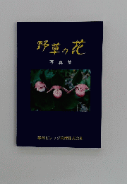 野草の花　写真集