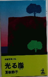 長編推理小説 光る崖