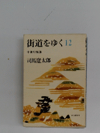 街道をゆく 12 