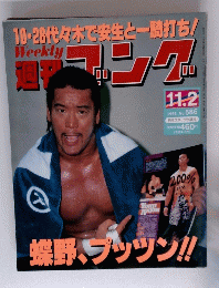 週刊　ゴング　No.586 １９９５年１１月２日号