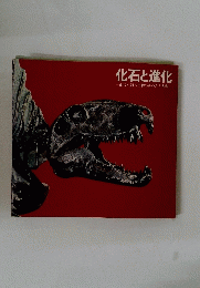 化石と進化
