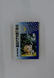 宇宙に抱かれた石庭　新城定吉署