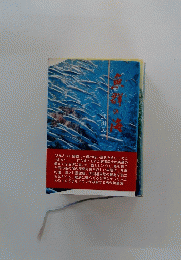 魚群の海　