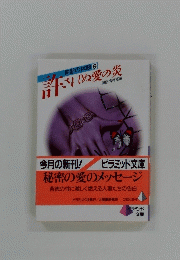 禁断の体験6　秘密の愛のメッセージ