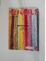 たくさんのふしぎ　6