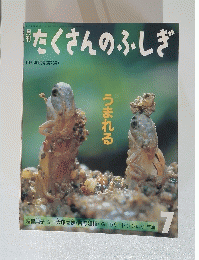 たくさんのふしぎ　1991年7月号(第76号)