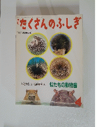 たくさんのふしぎ　1992年4月号　No.85