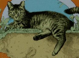 ねことしっぽ 