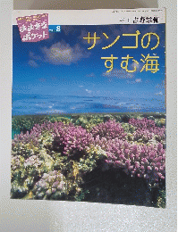 サンゴのすむ海　おおきなポケット 2003年8月号