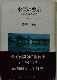 水俣の啓示 上