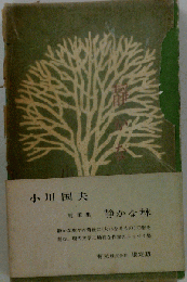 静かな林