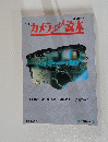 '95カメラとだわり読本