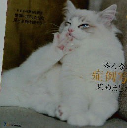 ねこのきもち 2021年９月号　vol.196
