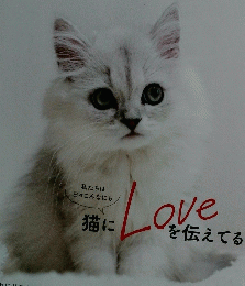 ねこのきもち　２０２０年12月号　vol.187