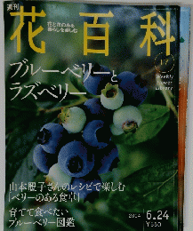 週刊 花百科　２００４年6月24日号
