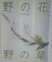 野の花　野の草