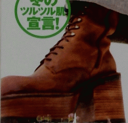 PeeWee　12月号
