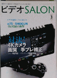 ビデオ SALON　2015年3月号