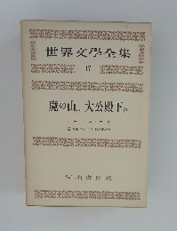 世界文學全集 17
