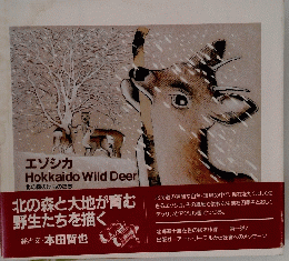 エゾシカ Hokkaido Wild Deer