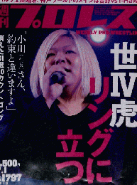 週刊プロレス 2015年 7/1 号 