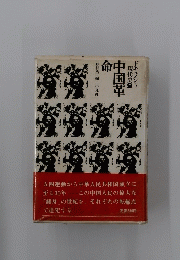ドキュメント現代史９　中国革命