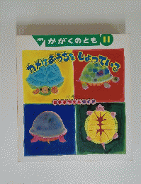 カナはおうちをしょっている　11