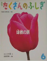 たくさんのふしぎ 1999年6月号 (第171号)