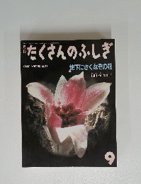 たくさんのふしぎ　9