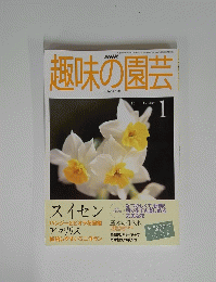 NHK　趣味の園芸　平成12年1月1日発行