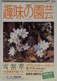 　NHK　趣味の園芸　２０００年3月号