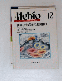 Mebio 平成６年１２月号