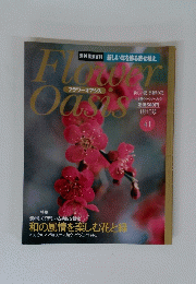 flower oasis 41