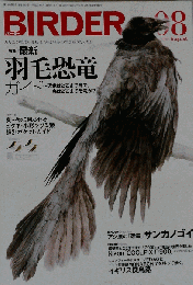 BIRDER　2015年8月号