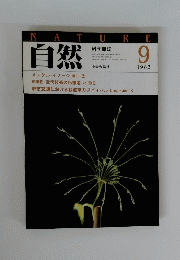 自然 1983年9月号
