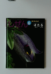 レぜん 6月号　はたる