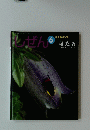 レぜん 6月号　はたる