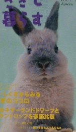 うさぎと暮らす　２０１２年１０月１日号