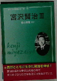 宮沢賢治3 近代日本文学選 ダイソー文学シリーズ9/QDY