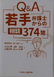 Q&A若手弁護士からの相談374問